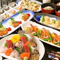 有楽町駅居酒屋で叶える、ゆるっと大人女子の一人飲み＆女子会ガイド