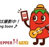 北野駅の居酒屋で見つけた！女子会も一人飲みも楽しめる「トマト餃子房 八王子店」体験レポ