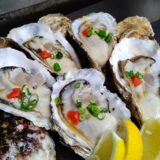 早稲田駅の居酒屋で見つけた、心ほぐれる小さな名店たち