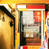 井の頭公園駅の居酒屋でほっこり一人飲み＆女子会♡吉祥寺エリアのおすすめスポット巡り