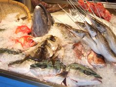 魚真 乃木坂店 乃木坂駅 居酒屋