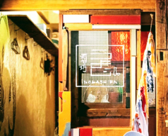 酒坊うよじ 井の頭公園駅 居酒屋