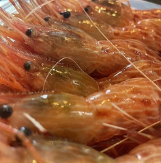 海老専門居酒屋 えび寿 2号店 六町駅 居酒屋