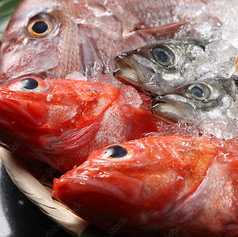 おやじの台所ななし 千住大橋駅 居酒屋