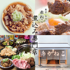 煮込み 赤ねこ酒場 北品川店 品川駅 居酒屋