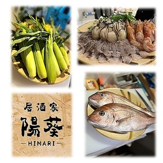 居酒家 陽葵 小岩駅 居酒屋