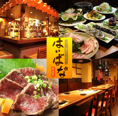 はいばな 南風花 恵比寿店 恵比寿駅 居酒屋