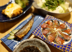 九州うまいもん よかよか 室町四丁目酒場 新日本橋駅 居酒屋