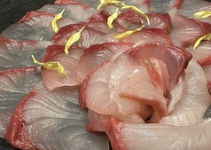 鶏料理 鮮魚 ゆかり 王子駅前駅 居酒屋