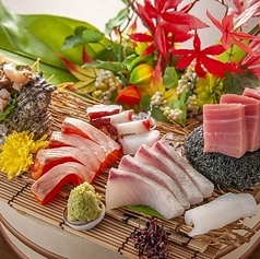 鮮魚と日本酒 酒肴あじ彩 競艇場前駅 居酒屋