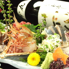 らん燈 蒲田駅 居酒屋