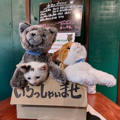 Kuramae 路地裏の猫 蔵前駅 居酒屋