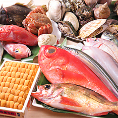 明日のじょう 西葛西駅 居酒屋