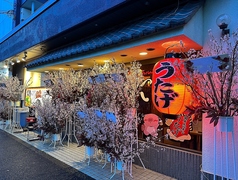 激辛ホルモン うたげ 西調布駅 居酒屋