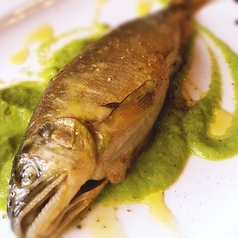 葡萄屋マルシュ越中島駅居酒屋