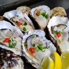 居酒屋 わっしょい 高田馬場 西早稲田 面影橋駅 居酒屋